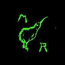 Band/Artist Logo