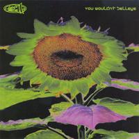 Cover Art